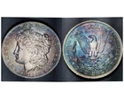 1884-O Morgan Silver Dollar- BLUEBERRY TONED UNCIRCULATED