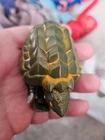 Transformers Beast Wars Basic Class SNAPPER Action Figure Vintage 1995