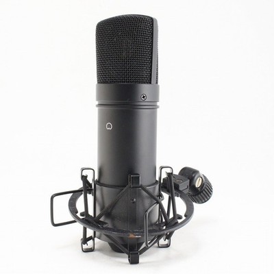TASCAM TM-80B Gebraucht