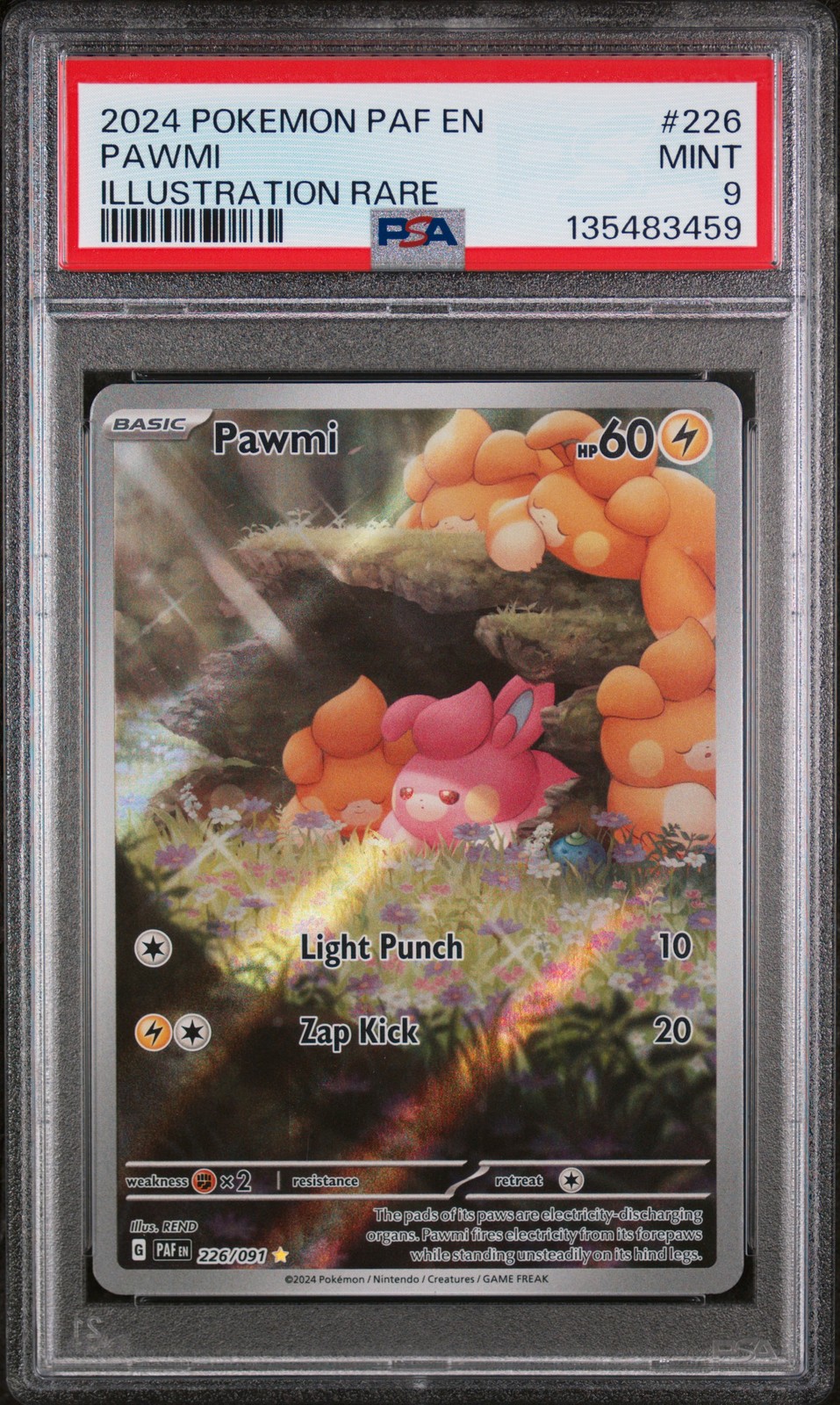 Pawmi #226