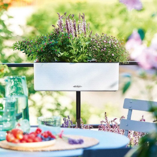 Hanging Baskets and Window Box LECHUZA CUBE Color Triple Self-watering Plant Pot - Picture 26 of 28