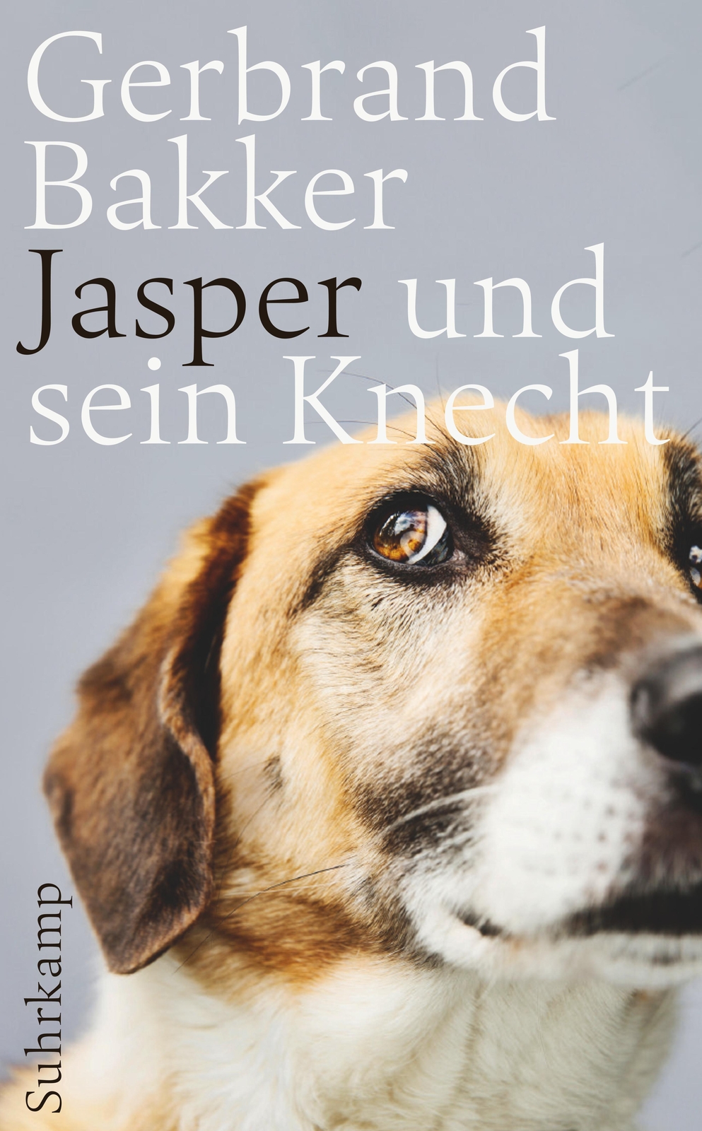 Thumbnail - Jasper Und Sein Knecht, Gerbrand Bakker