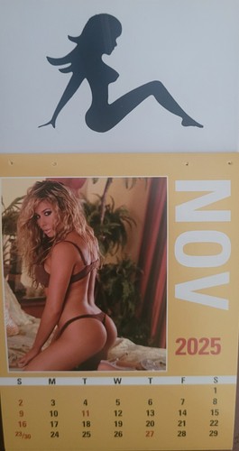 2025 GIRLS in LINGERIE mini CALENDARS FOUR PACK! 13 MONTH - Picture 2 of 12