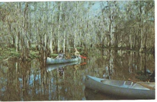 Tom Gaskin's Cypress Kneeland At Palmdale Florida Canoeing Fishing 1965 Postcard