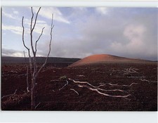 Postcard Puu Puai as viewed from Devastation Trail Volcano Hawaii USA
