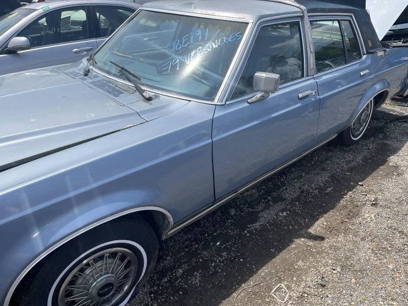 Grille Fits 77-80 VERSAILLES 1354066 - Image 3 of 4