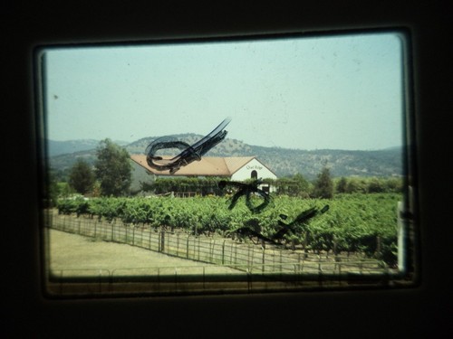 6 Original Vintage 35mm Kodak Photo Color Slide Napa Kodachrome Transparency - Picture 3 of 10