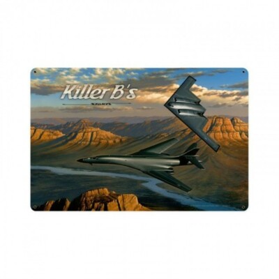 Northrop B-2 Stealth Rockwell B-1 Lancer Flugzeug Retro Sign Blechschild Schild