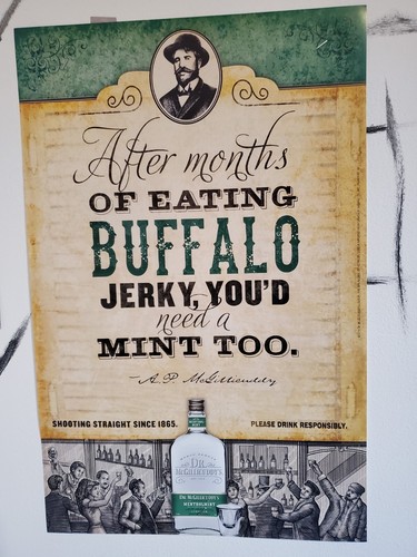 6 Dr. Mcgillicuddy's Promotional One Liner Bar Posters 12x16 liquor man cave gift - Imagen 6 de 6