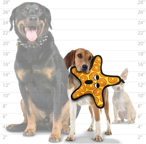 Tuffy Ocean Creature Starfish Dog Toy - Picture 2 of 4