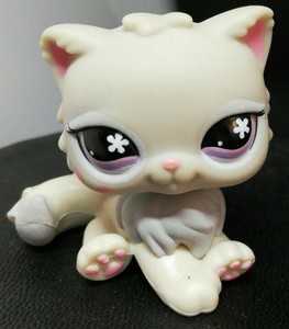 Littlest Pet Shop Lps Chat Persan Gris Tatoue 609 Ebay