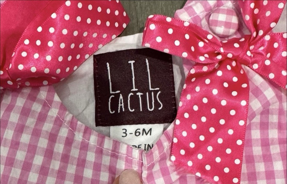 Pink Rabbit Hood 12 piece Baby Girl 3-6 Month Clothing Lot Pink Gingham Bunny ...