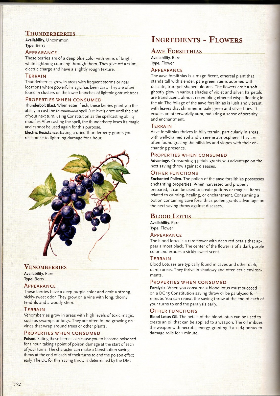 Into the Wild (D&D 5E) Hardcover - RiotMinds Fantasy Adventures Series - 5th Ed.