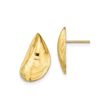 14k Yellow Gold Mussel Shell Post Earrings