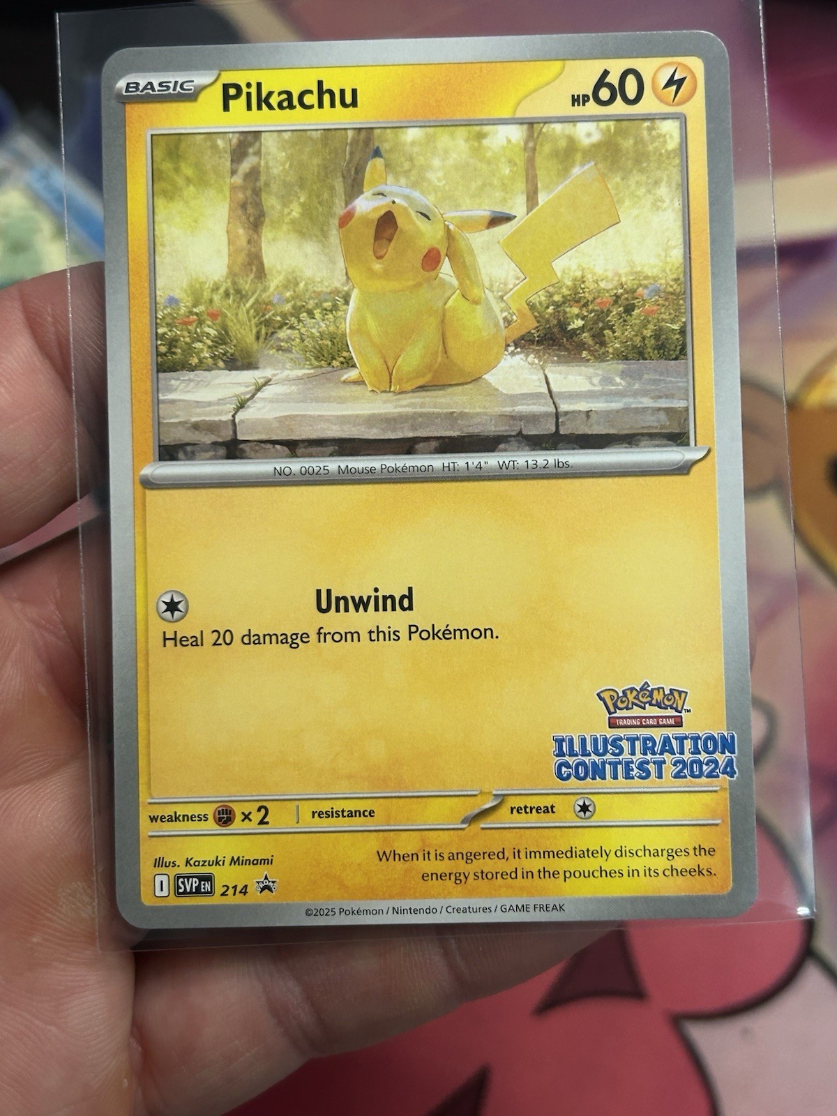2025 Pokemon Pikachu Black Star Promo Illustration Contest 2024 214 SVPEN Rare
