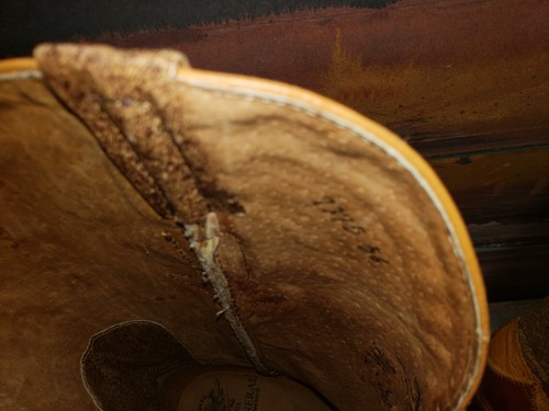 El General Cowboystiefel echtes Alligatorleder Damengröße 8 BRANDNEU - Bild 5 von 7
