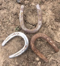 Mule Shoes, Ridden In The Rocky Mountains; Mule Shoe; Muleshoe; Horse Shoe