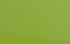 SUNBRELLA 54011 CANVAS GINKGO GREEN OUTDOOR INDOOR MULTIUSE FABRIC BY YARD 54"W