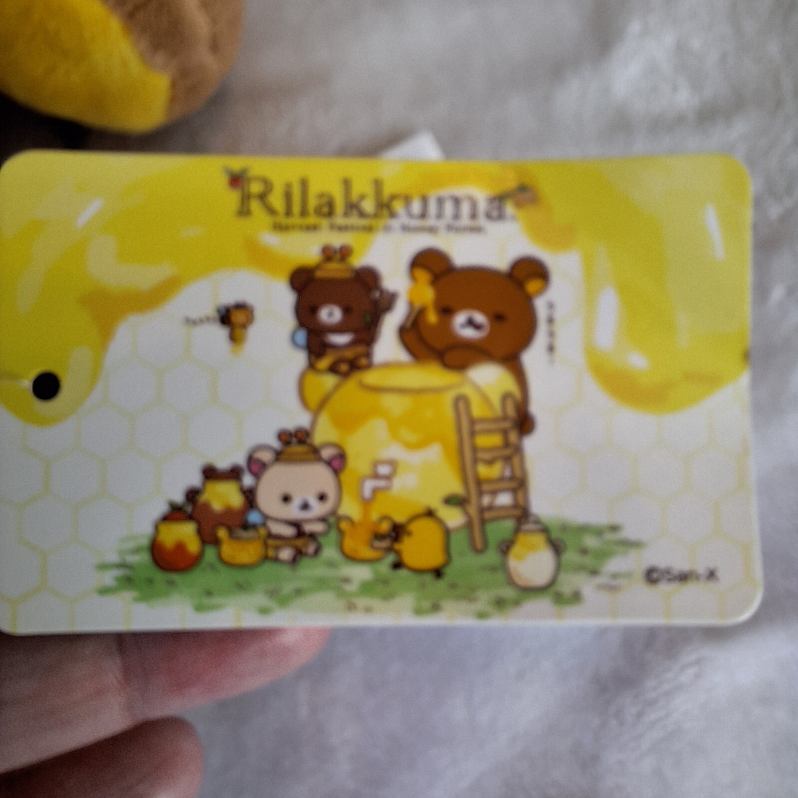 Bild 6 von 9