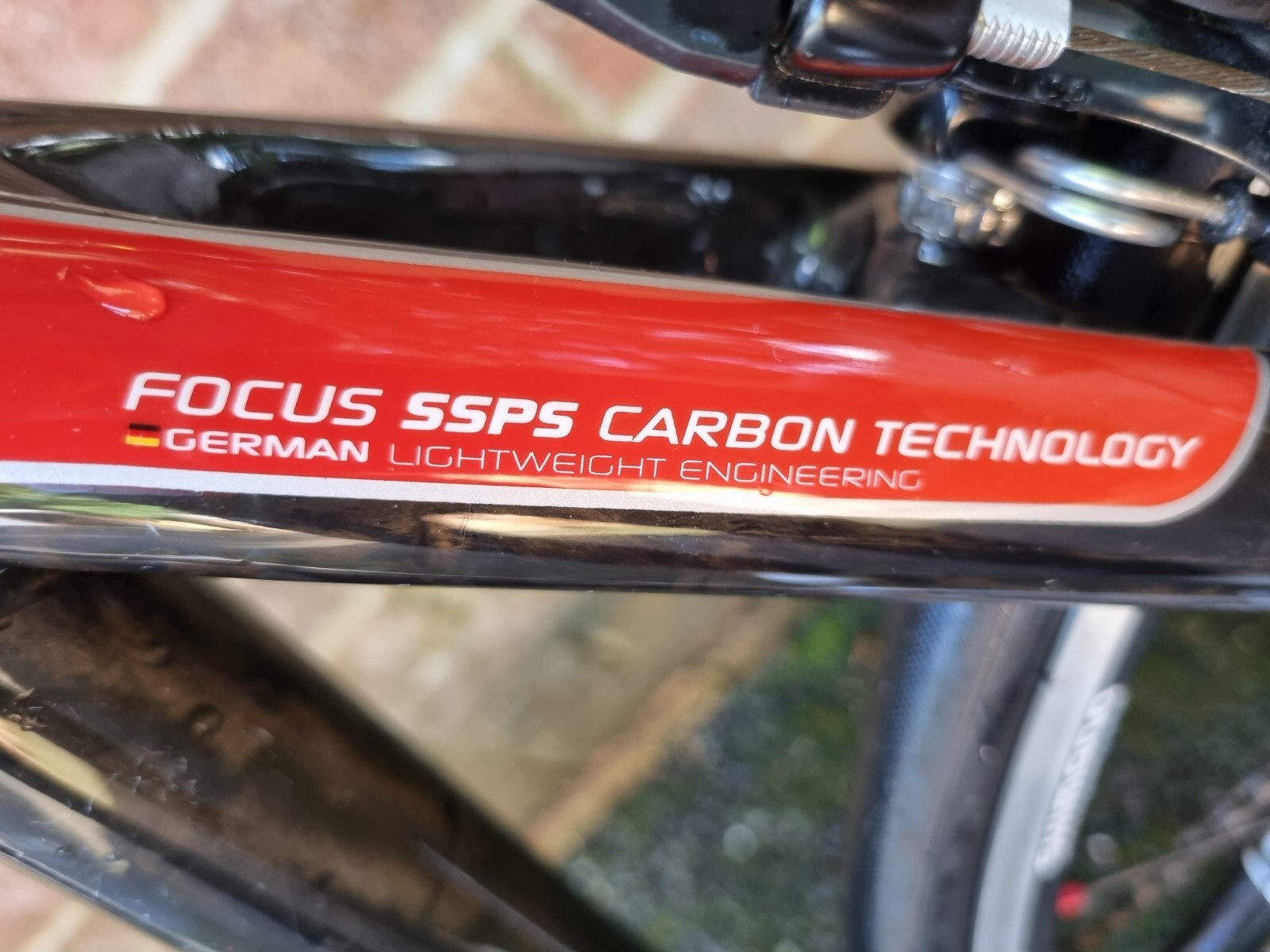 Focus Cayo Carbon Road Bike eBay