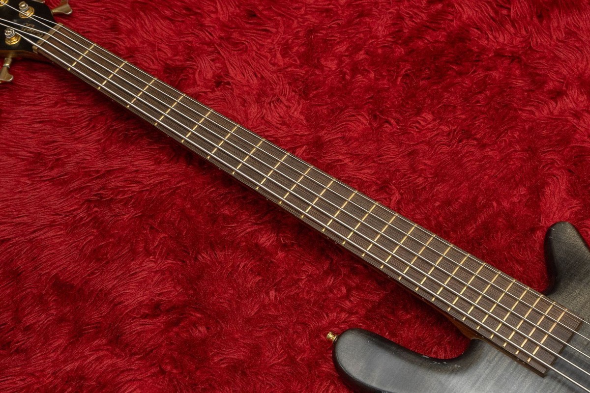Warwick Streamer LX 5st Nirvana Black Oil finish 2006 4.080 Warwick Streamer LX 5st Nirvana Black Oil finish 2006 4.080