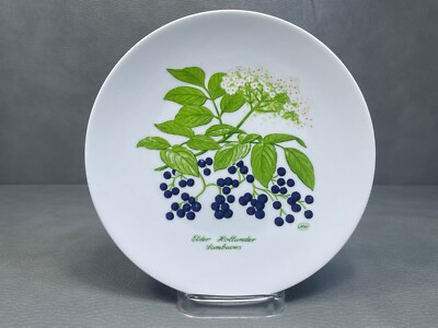Bareuther Waldsassen Bavaria Germany Botanic Flower Elder 142 Salad Plate 7 7/8''