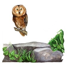 Tatouage Rock with Owl Dry rub Transfer