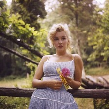 1957 Marilyn Monroe Photo Sam Shaw Roxbury Connecticut