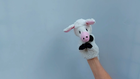 Video 1 von 1