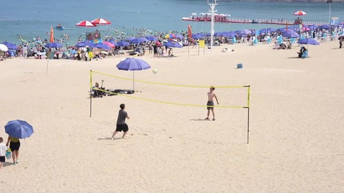 32 Fuß Volleyballnetz Set Schwerlast Tragbar mit Stange Ball Beule Strand Hinterhof - Video 1 von 1