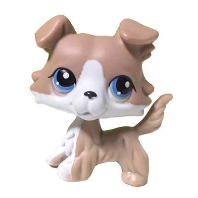 royal canin urinary multifunction