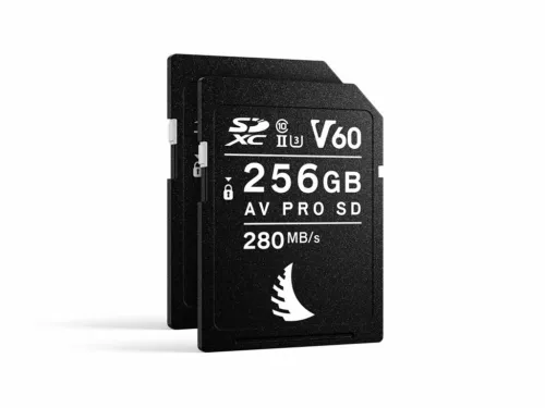 Angelbird SD Match Pack pour Fujifilm X-T3/X-T4 256 Go SD V60, Pack de 2