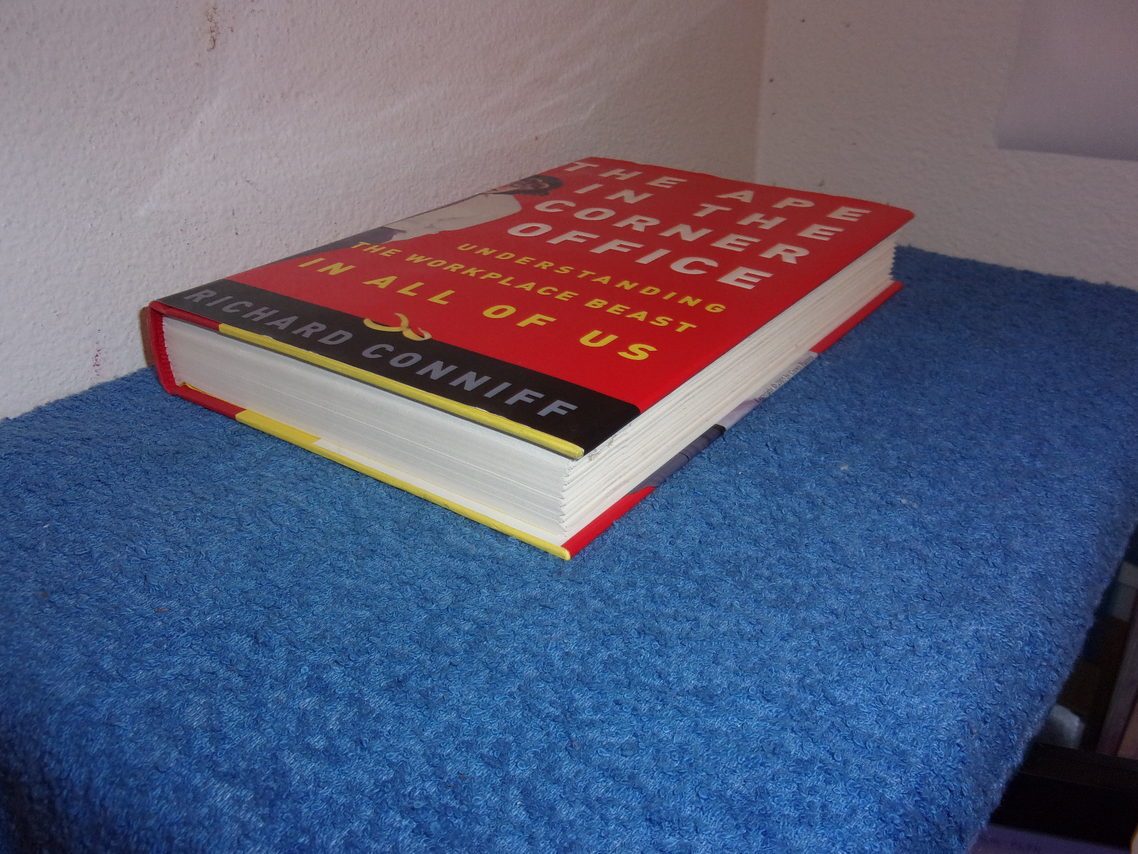Bild 4 von 4