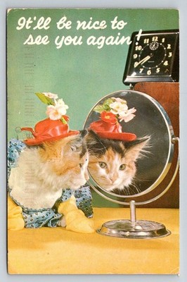 Vintage Plastichrome Kitten Mirror ''It'll be nice to see you again!'' Postcard