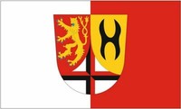 Flagge / Fahne Landkreis Altenkirchen Hissflagge 90 X 150 Cm