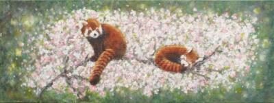 Rote Pandas in Kirschblütenlandschaft Tierwelt Original Gemälde Andi J Lucas