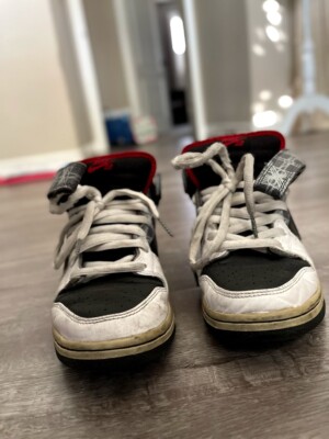 超美品【トリニダード】バズーカ41mm 21g Nike SB Beijing Triumvir X Fly Dunk Mid ELITE Size 9