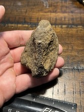Interesting Complete Dinosaur Ankle Or Wrist Bone Hell Creek Fossil MT
