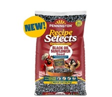 Pennington Select Black Oil Sunflower Seed Wild Bird Dry Feed, 40 lb. Bag