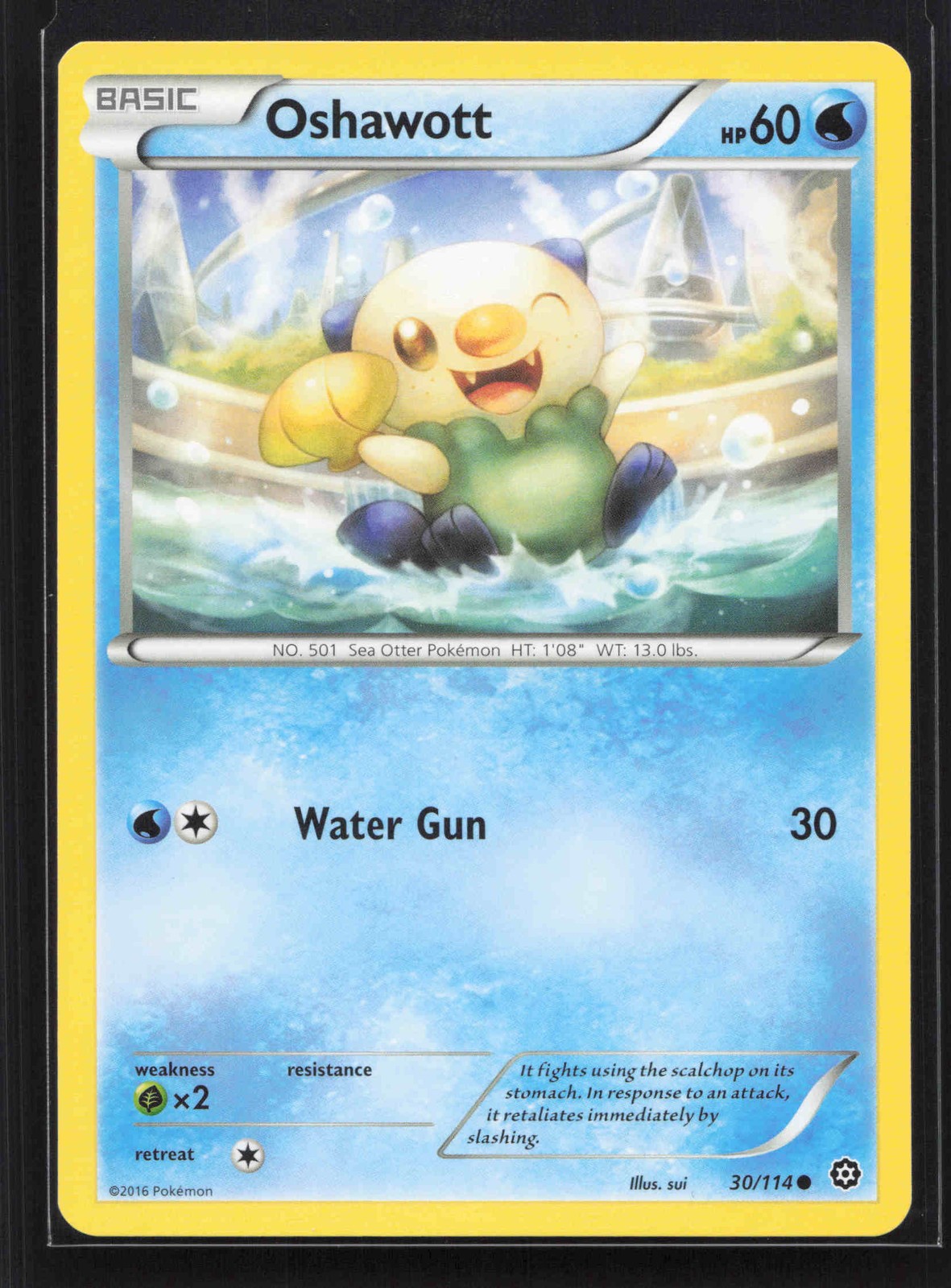 Oshawott Common XY - Steam Siege 30/114 NM