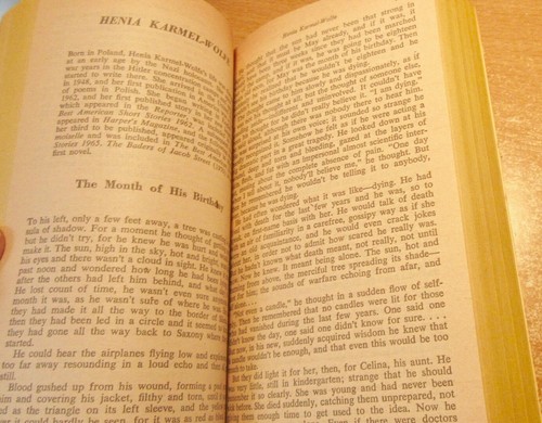 Jewish-American Literature: Anthology of Fiction Poetry ~Abraham Chapman in MELB - Bild 17 von 20