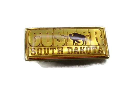 Custer South Dakota Pin goldfarben Rückseite fehlt