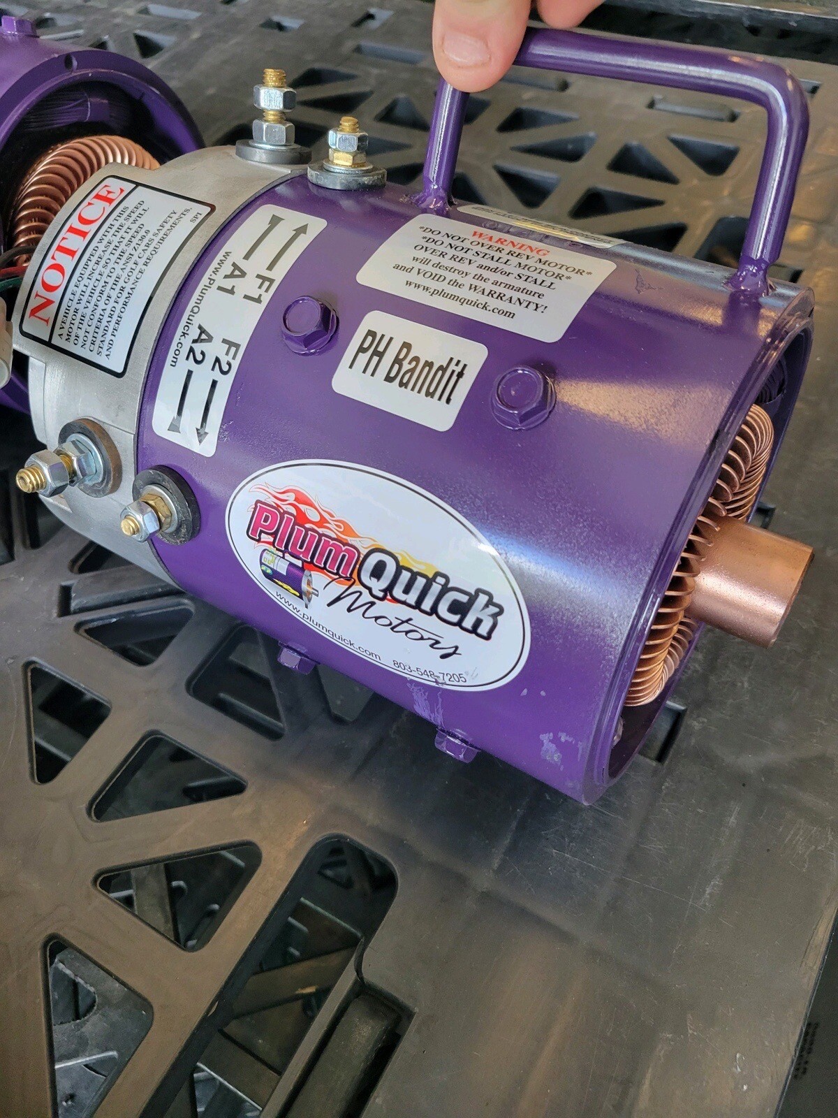 NEW High Speed Bandit EZGO TXT Plum Quick Motor eBay
