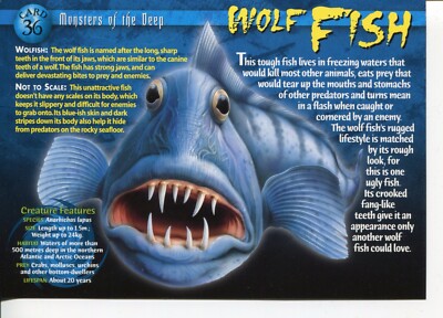 Weird N  Wild Creatures Monsters of the Deep Card 36 # Wolf Fish # LC4