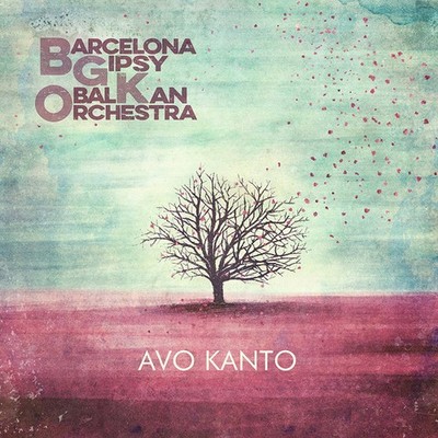 Barcelona Gipsy Klezmer Orchestra Vinyl, Avo Kanto Record LP