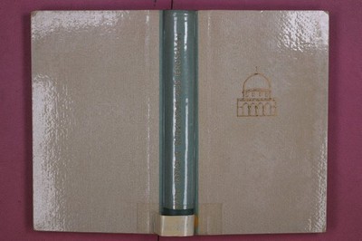 310568 Franz Jantsch ICH KOMME AUS JERUSALEM Verlag Styria HC