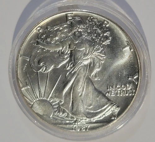 1987 American Silver Eagle $1 Dollar 1 Oz 999 Silver Coin, Uncirculated, In Case