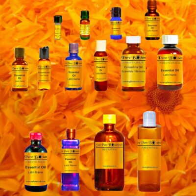 Calendula Essential Oil - 100% PURE NATURAL - Sizes 3ml to 16oz - Aromatherapy