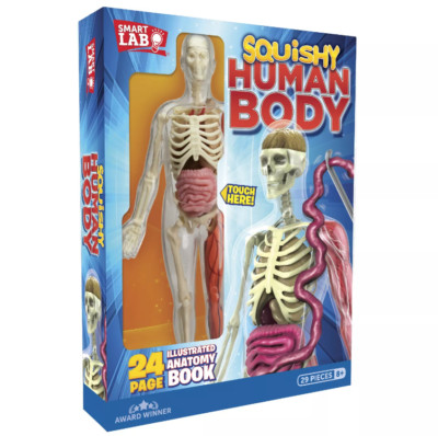 SmartLab Toys: Squishy Human Body (SL06428), *NEW* *FREE Shipping