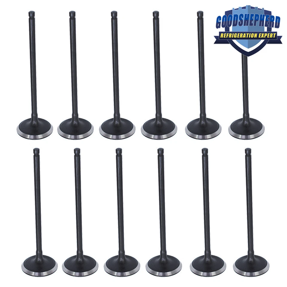 Válvulas de admisión y escape 24 piezas para Honda Odyssey Accord Acura TL 2002-2007 3,5 L Foto 3 de 4